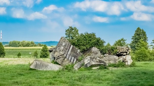 Stręgielek - zdjęcie 1