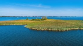 Wyspa Ptasia - zdjęcie 13