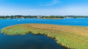 Wyspa Ptasia - zdjęcie 11