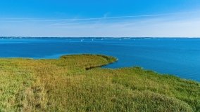 Wyspa Ptasia - zdjęcie 10