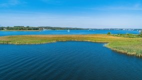 Wyspa Ptasia - zdjęcie 9