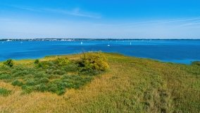 Wyspa Ptasia - zdjęcie 8