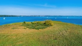 Wyspa Ptasia - zdjęcie 7