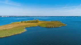 Wyspa Ptasia - zdjęcie 6