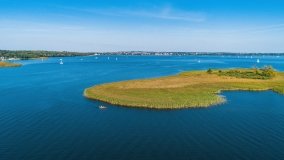 Wyspa Ptasia - zdjęcie 4