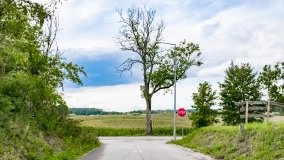 Kalinowo - zdjęcie 18