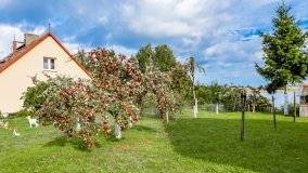 Kalinowo - zdjęcie 10