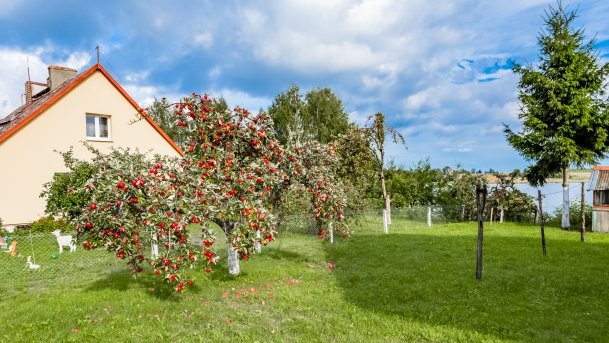 Kalinowo - zdjęcie 10