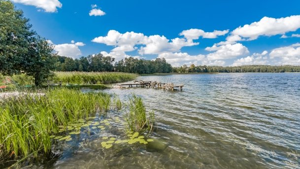 Kronowo - zdjęcie 11