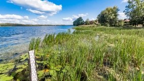 jezioro Dejguny - zdjęcie 4