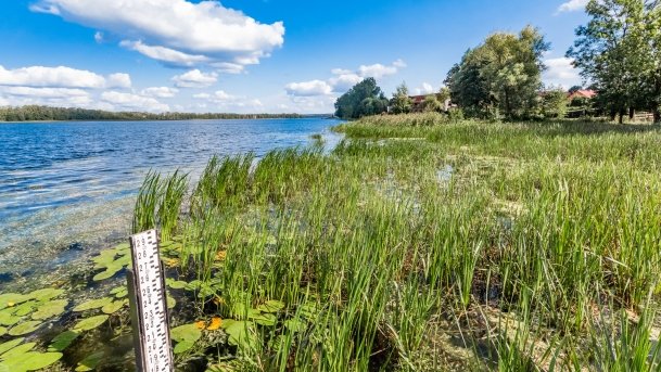 Kronowo - zdjęcie 10