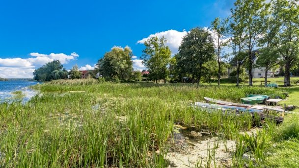 Kronowo - zdjęcie 9