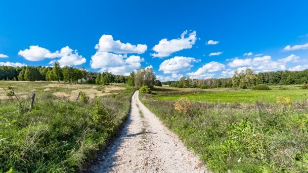 Kronowo - zdjęcie 8