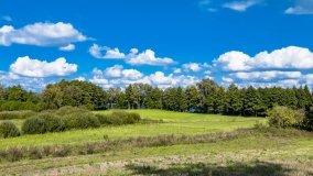 Kronowo - zdjęcie 7