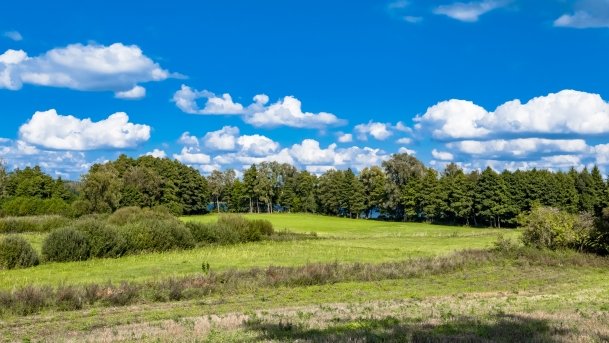 Kronowo - zdjęcie 7