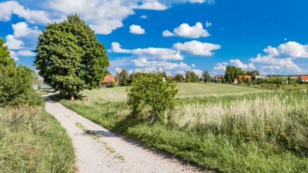 Kronowo - zdjęcie 6