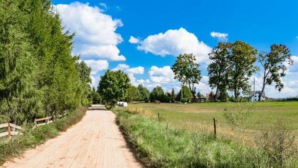 Grzybowo - zdjęcie 14