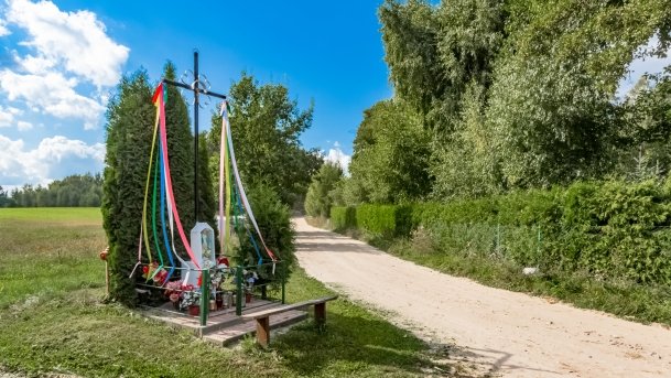 Grzybowo - zdjęcie 13