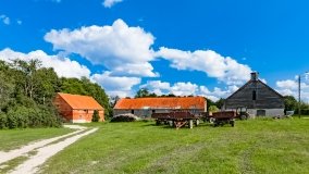 Grzybowo - zdjęcie 11