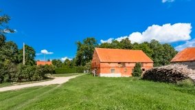 Grzybowo - zdjęcie 5