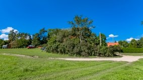 Grzybowo - zdjęcie 4