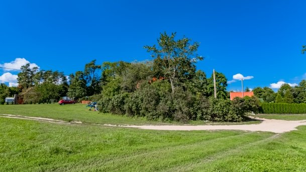 Grzybowo - zdjęcie 4