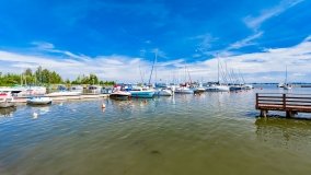 Wilkasy - zdjęcie 56