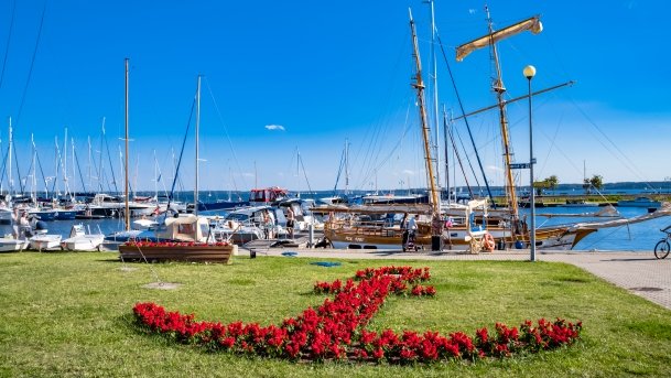 Port Ekomarina - zdjęcie 31