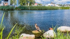 Giżycko - zdjęcie 138