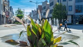 Giżycko - zdjęcie 36