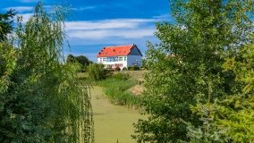 Bystry - zdjęcie 35