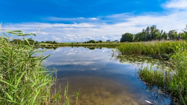 Bystry - zdjęcie 29