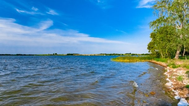 Niegocin - zdjęcie 129