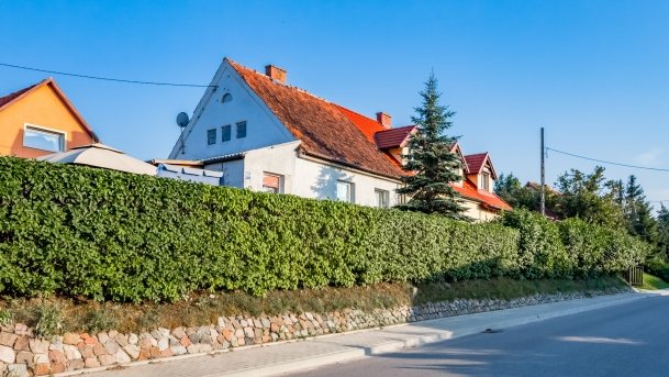 Rydzewo - zdjęcie 67