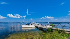 Strzelce - zdjęcie 14