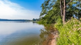 Jagodne Wielkie - zdjęcie 11