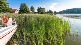 Jagodne Wielkie - zdjęcie 6