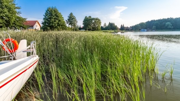 Jagodne Wielkie - zdjęcie 6