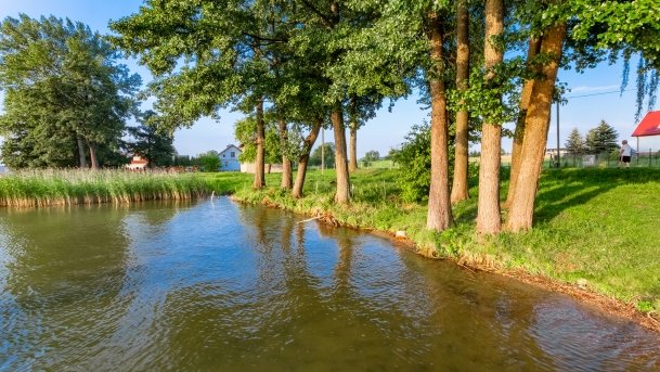 Jagodne Wielkie - zdjęcie 5