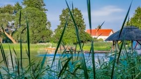 Jagodne Wielkie - zdjęcie 2