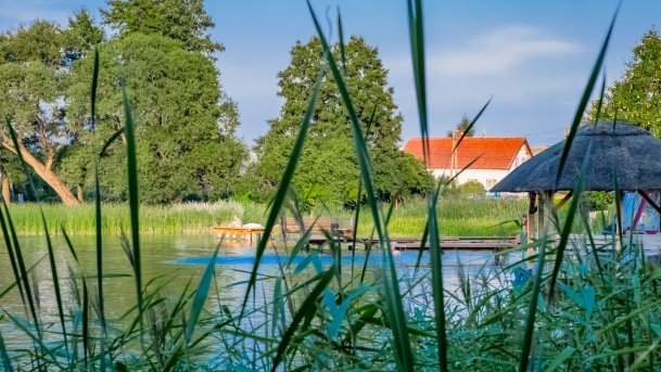 Jagodne Wielkie - zdjęcie 2