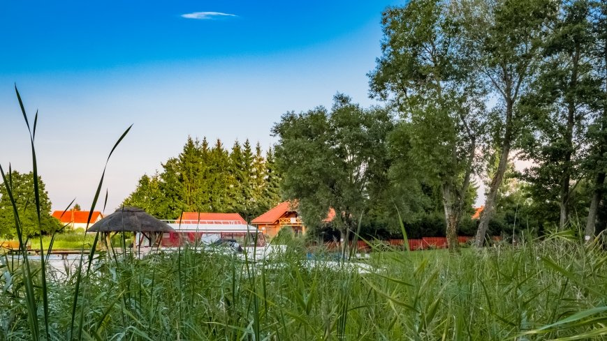 Jagodne Wielkie - zdjęcie 1