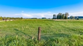 Jagodne Małe - zdjęcie 6