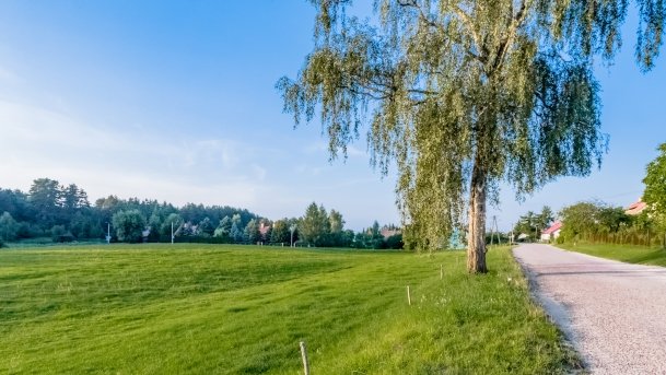 Jagodne Małe - zdjęcie 5