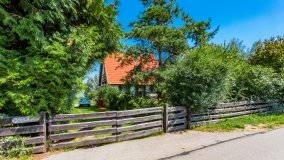 Szymonka - zdjęcie 38