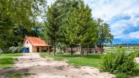 Zielony Lasek - zdjęcie 34