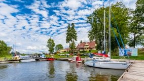 Zielony Lasek - zdjęcie 31