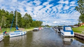 Zielony Lasek - zdjęcie 29