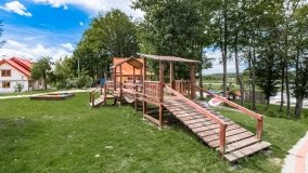 Zielony Lasek - zdjęcie 27