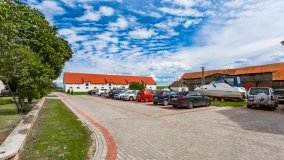 Zielony Lasek - zdjęcie 26